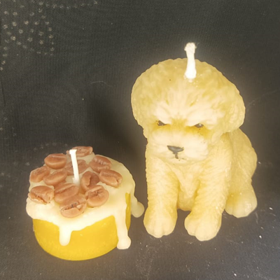 Fancy Dog Candles 1